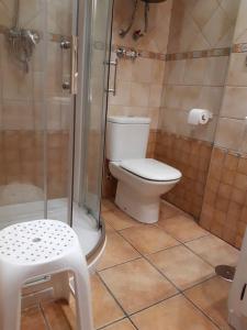 La salle de bains est pourvue de toilettes et d'une douche en verre. dans l'établissement Apartamento Calma Chica, à Torremolinos