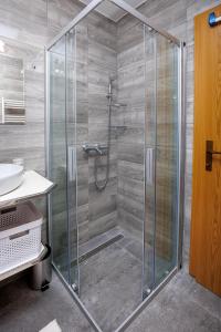 y baño con ducha y puerta de cristal. en Apartment Izvir Lahinje, en Dragatuš