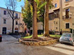 due alberi di fronte a un edificio di G.S House a L'Aquila