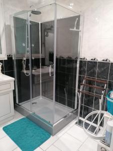 een douche met een glazen deur in de badkamer bij Maison de campagne à Balaives et Butz in Flize