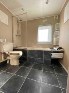 a bathroom with a toilet and a sink and a shower at Valley View Lodge in Welshpool