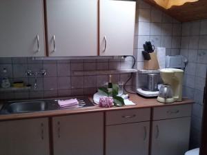 eine Küche mit einer Spüle und einer Arbeitsplatte in der Unterkunft Ferienwohnung Anita Bernhardt in Rimbach