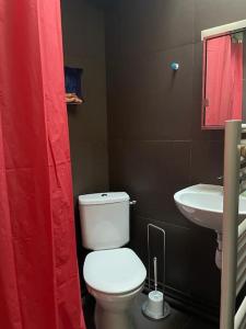 a bathroom with a white toilet and a sink at charmant studio sous les toits de Paris in Paris