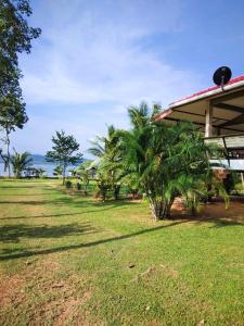 einen Hof mit Palmen neben einem Gebäude in der Unterkunft Baan I Ta Lay Koh Yao Noi in Ko Yao Noi