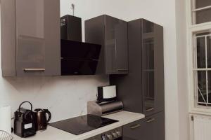 Kuchyňa alebo kuchynka v ubytovaní Modern stylish comfortable 2 bedroom apartment