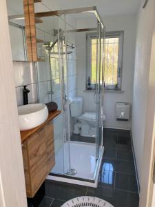 a bathroom with a shower and a sink and a toilet at Ferienhaus Naturblick in Bad Frankenhausen