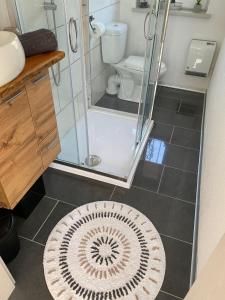 a bathroom with a shower and a toilet and a rug at Ferienhaus Naturblick in Bad Frankenhausen