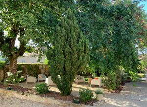 a tree in a garden with chairs and a bush at Le clos du marronnier in Rivières-les-Fosses