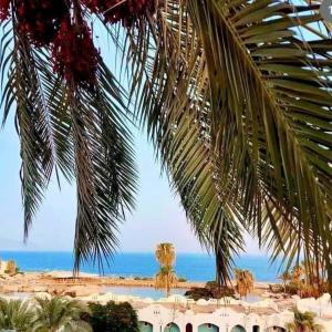 Φυσικό τοπίο κοντά σε αυτό το διαμέρισμα