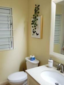y baño con aseo, lavabo y espejo. en Vacation Home at The Palms Richmond, en Richmond