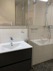 ein Bad mit einem Waschbecken und einer Dusche in der Unterkunft Kabine 3 in Grömitz
