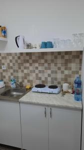 Kuchyň nebo kuchyňský kout v ubytování Apartman Diamond