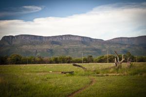 een grasveld met een berg op de achtergrond bij Boschfontein Guest Farm in Thabazimbi