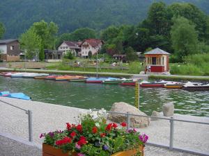 a bunch of boats in the water with flowers in a pot at Kaufhold Ferienwohnung in Immenstadt im Allgäu