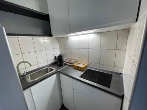 eine kleine Küche mit weißen Schränken und einem Waschbecken in der Unterkunft Messeapartment Wöhrder See in Nürnberg