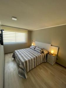 een slaapkamer met een groot bed en een raam bij Dpto 2D 1B, Parque Almagro, Santiago. in Santiago