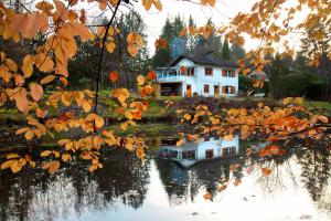 Ein Haus spiegelt sich in einem Wasserkörper wider in der Unterkunft Fischerhaus in Burgthann