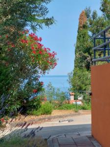 een uitzicht op de oceaan vanuit het huis bij Apartments Henc in Novigrad Istria