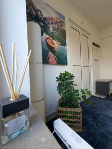 Fotografie z fotogalerie ubytování Negotin Centar Apartment with Parking v destinaci Negotin