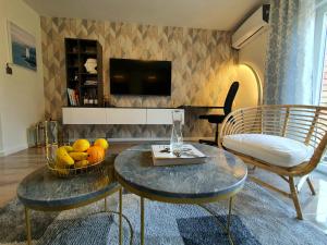 TV a/nebo společenská místnost v ubytování Negotin Centar Apartment with Parking