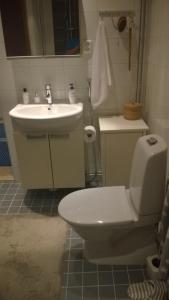 a bathroom with a toilet and a sink at Lapinkatu apartments in Rovaniemi
