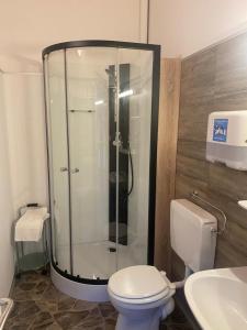 ザルシュテットにあるGold Star Apartment Nr.2のシャワー、トイレ、洗面台を備えたバスルーム