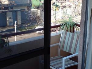 einem weißen Stuhl auf einem Balkon mit Topfpflanze in der Unterkunft Buenos Aires Tango Apartment near Golf in San Antonio de Padua