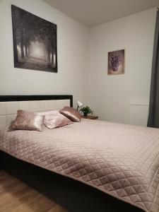 a bed in a bedroom with a picture on the wall at Apartament Widok Polana Szaflarska in Nowy Targ