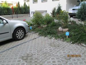 Ein Garten an der Unterkunft Meeresrauschen