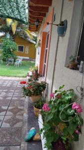 a house with flowers and plants in front of it at LA PALMERA in Maipú