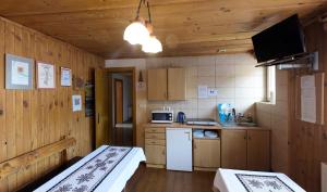 a kitchen with two beds in a room with wooden walls at Agroturystyka Chmiel in Sromowce Wyżne