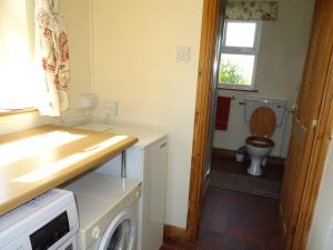 a bathroom with a washing machine and a toilet at Glan Wye in Rhayader