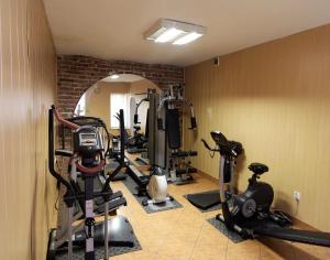 - une salle de sport avec plusieurs vélos d'exercice et des tapis de course dans l'établissement Agroturystyka Chmiel, à Sromowce Wyżne