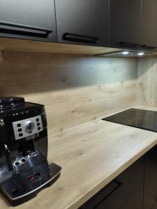 Kuchyňa alebo kuchynka v ubytovaní Apartament Zamkowe Wzgórze