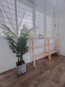een bureau en een potplant in een kamer bij The Cozy Place by Nestcove in Melaka