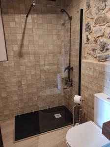 a bathroom with a shower with a toilet in it at Casa el Recreo in Jérica