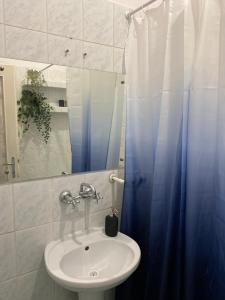 bagno con lavandino e tenda doccia blu di Best View Old Town Rooms a Cracovia
