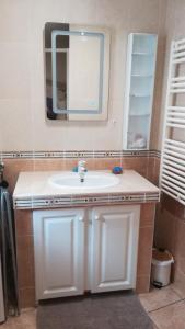 ein Badezimmer mit einem weißen Waschbecken und einem Spiegel in der Unterkunft Gîte du Pressoir in Cerdon