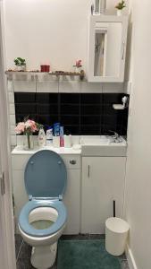 a bathroom with a blue toilet and a sink at Lovely apartment close to Acton central station in London