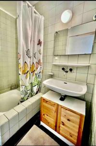 ein Bad mit einem Waschbecken und einem Duschvorhang in der Unterkunft Appartement 7,0 pièces 3 chambres proximité aéroport in Genf