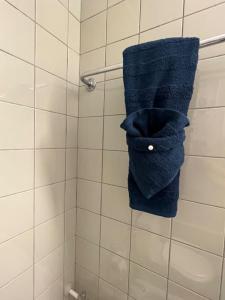 a bathroom with a blue towel hanging on a wall at Appartement 7,0 pièces 3 chambres proximité aéroport in Geneva