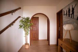 un couloir avec une porte et une plante en pot dans l'établissement Casal dos Netos, à Penhas da Saúde
