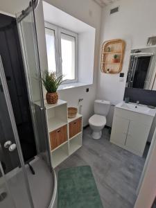 uma casa de banho com um chuveiro, um WC e um lavatório. em Studio cosy proche du centre-ville em Paray-le-Monial