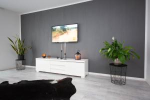a living room with a tv on a wall at Modern Luxury Villa Antonia in Mössingen