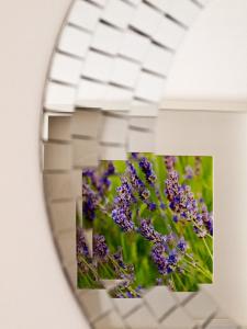 Fotografia z galérie ubytovania Kredo B&B v Mali Lošinj