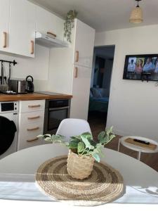 - une cuisine avec une table et une plante en pot dans l'établissement L'Appartement Vert, à Douai