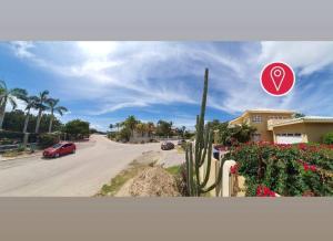 a picture of a street with a cactus and a sign at Villa Bella Mare Aruba - Steps to the beach in Palm-Eagle Beach