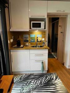 een keuken met een spoelbak en een magnetron bij Le Lodge in Belin-Beliet