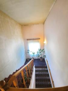 Fotografie z fotogalerie ubytování Garni Guesthouse v destinaci Garni