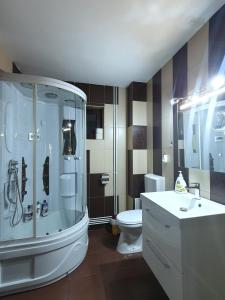 a bathroom with a shower and a toilet and a sink at Vila Flora în Gura Humorului in Gura Humorului +42 photos